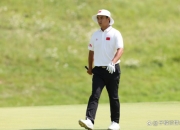 爱游戏官方登录入口-意大利名将出色表现斩获奖牌