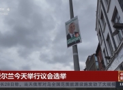 爱游戏地址-包含爱尔兰队备战充分，迎接紧张国际比赛的词条