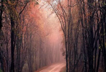 爱游戏新闻-多特蒙德球队士气旺盛备战比赛(多特蒙德球队实力)