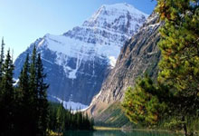 爱游戏地址-卡尔蒂斯锋线组合默契，世俱杯争冠实力凸显