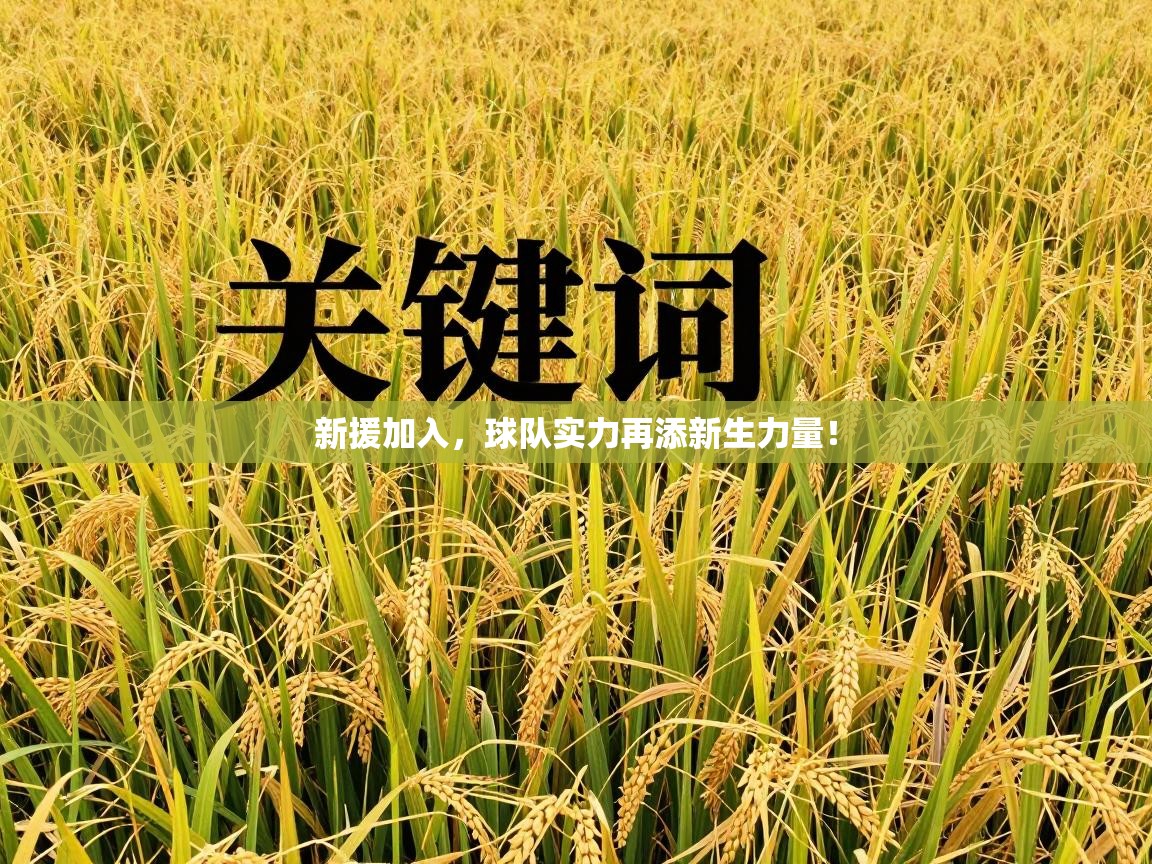 新援加入，球队实力再添新生力量！  第1张