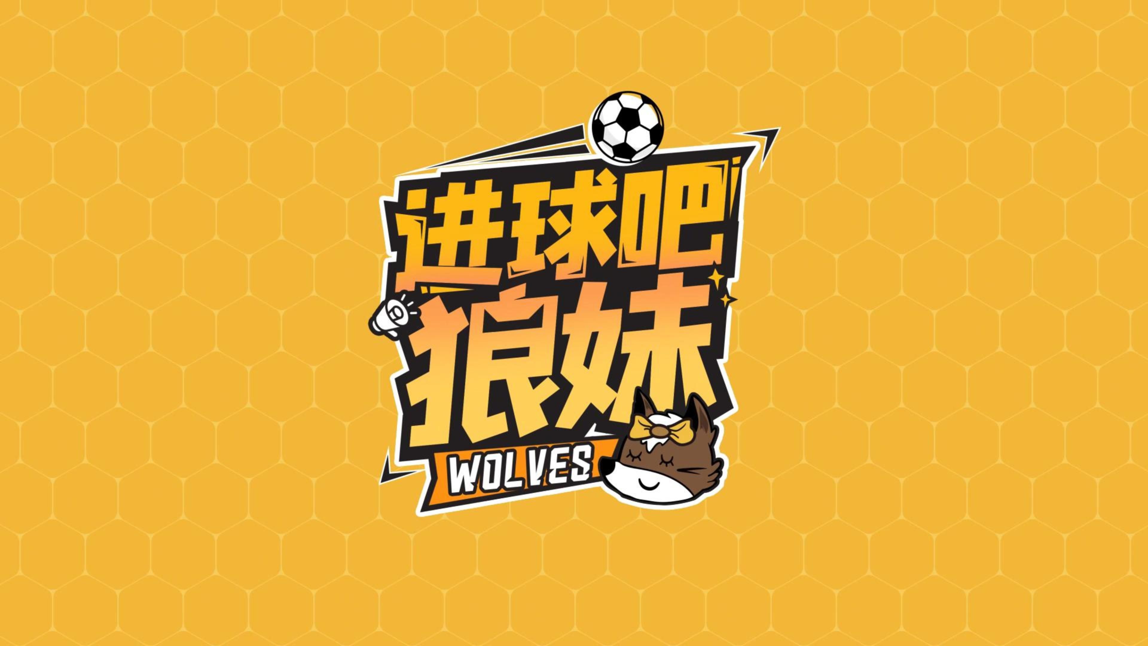狼队备战极为充分，期待反弹表现的简单介绍