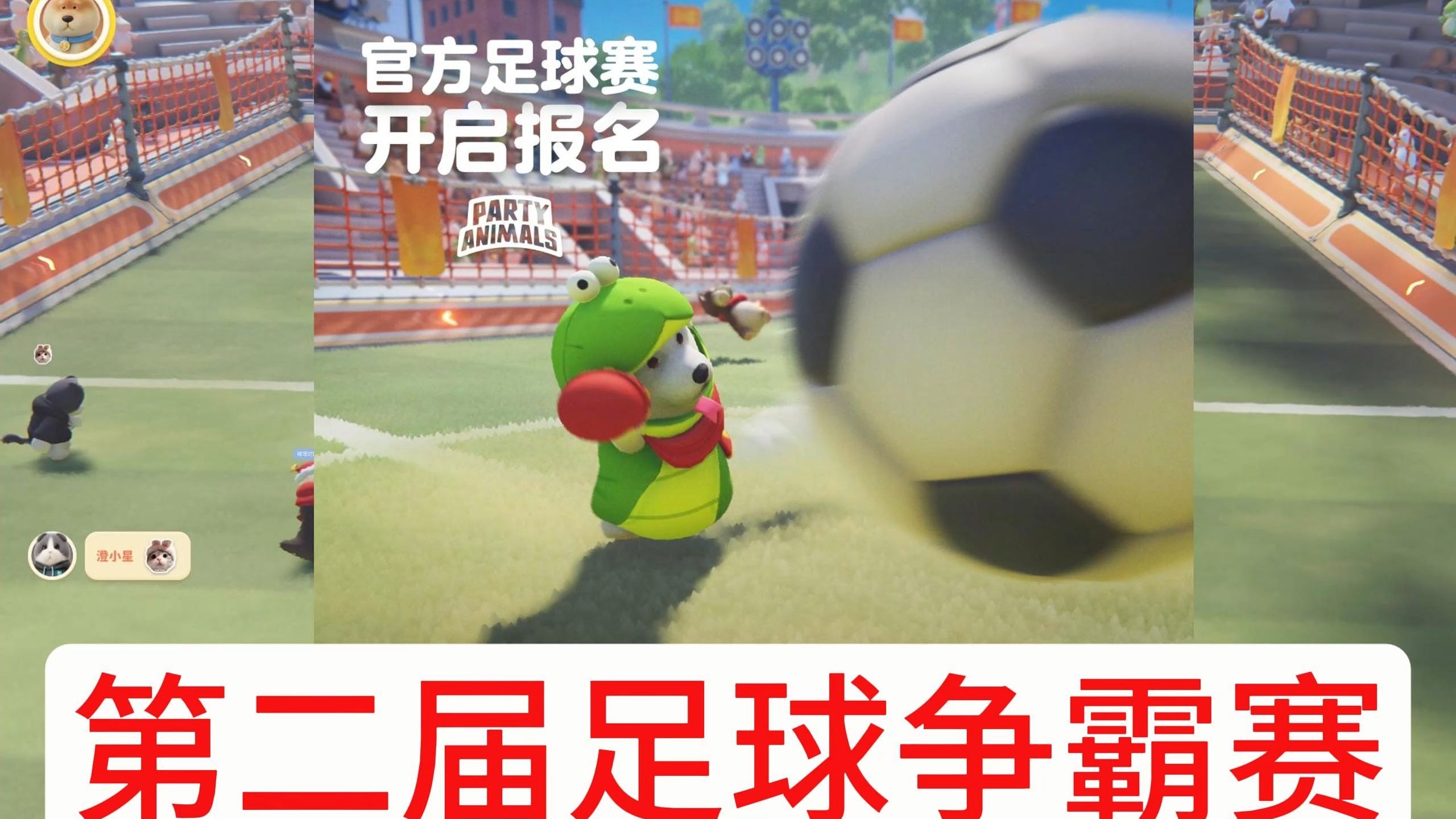 足球盛会火爆开启，谁能脱颖而出